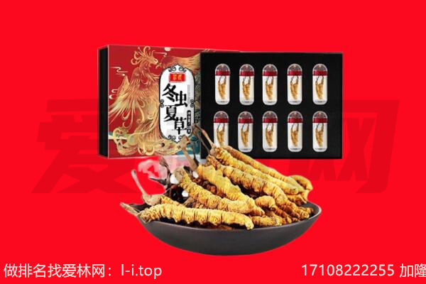 鹿寨县回收虫草.jpg